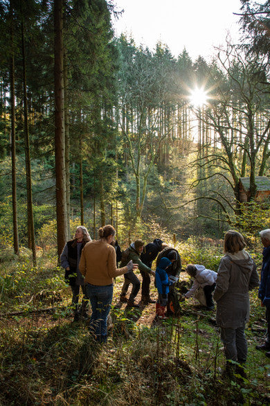 Sunday 7th July Half day foraging course Nantybedd Gardens nr Abergavenny