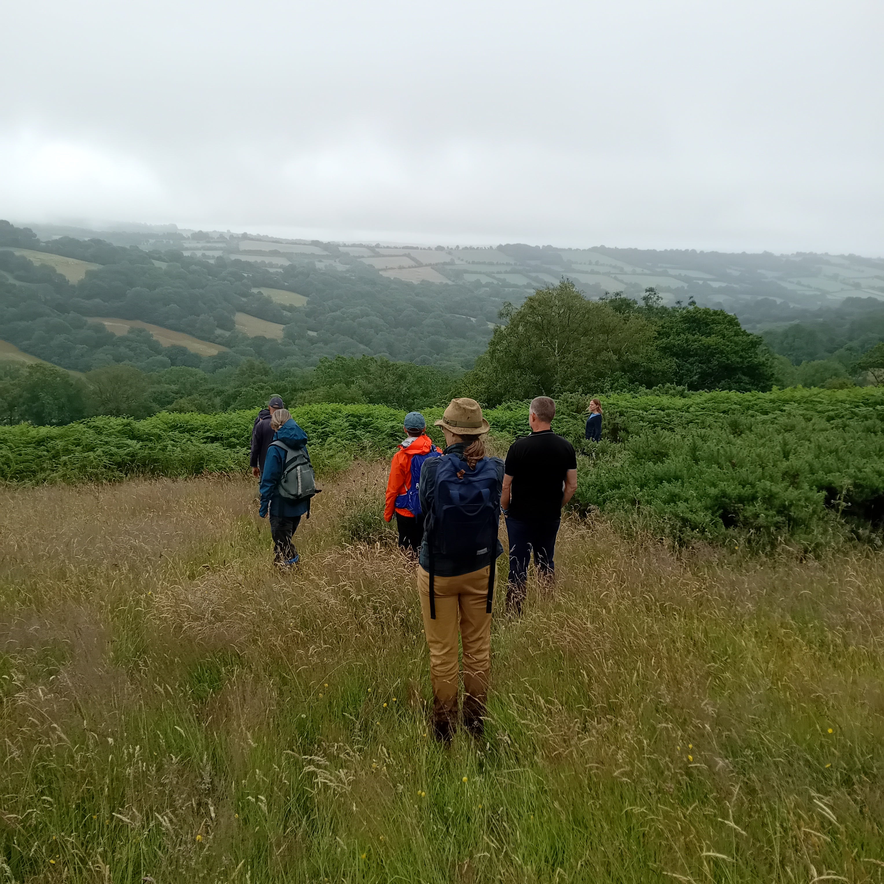Full Day Foraging Course, Saturday 29th August 2026