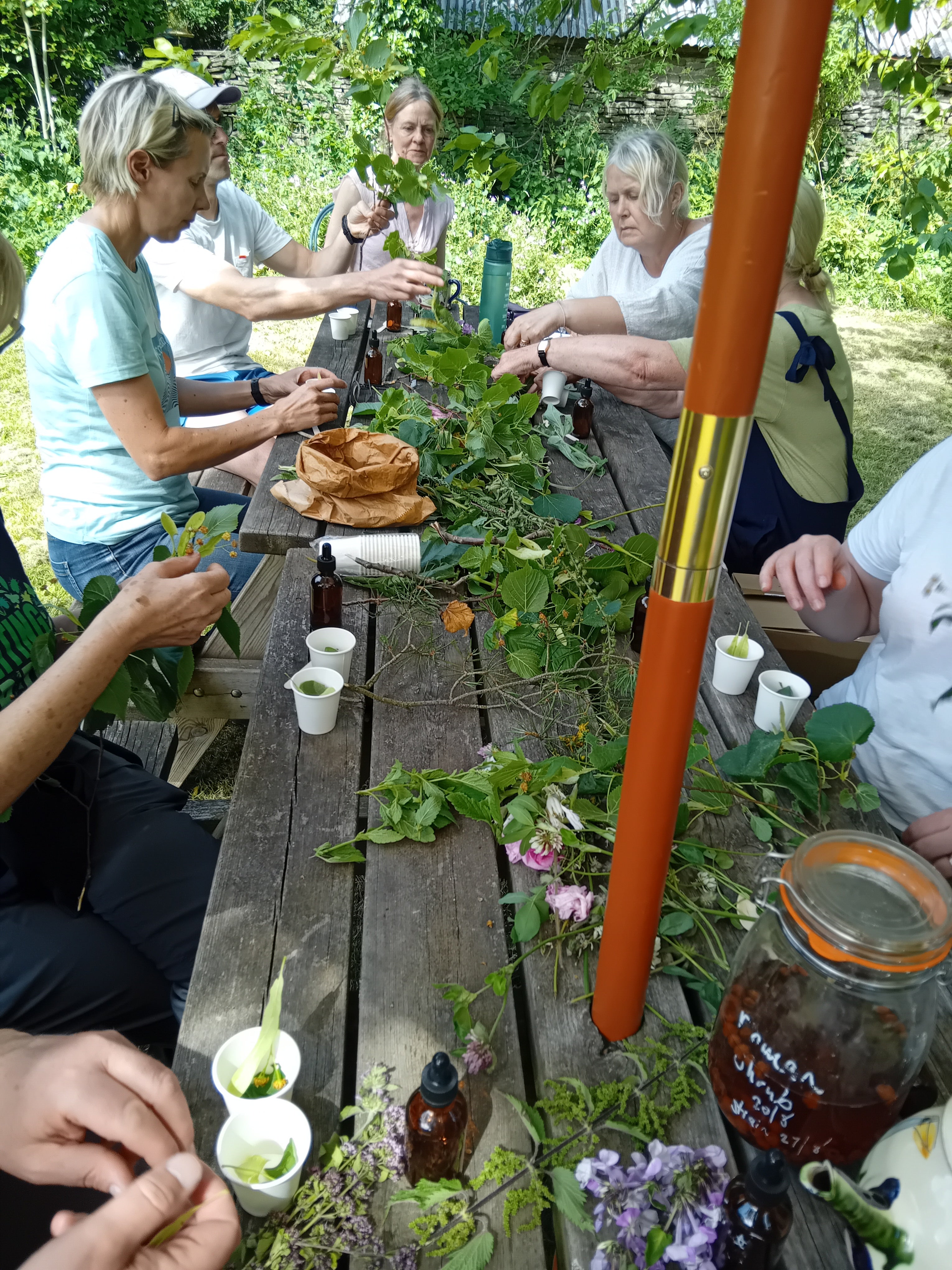 Full Day Foraging Course Saturday 27h June 2026