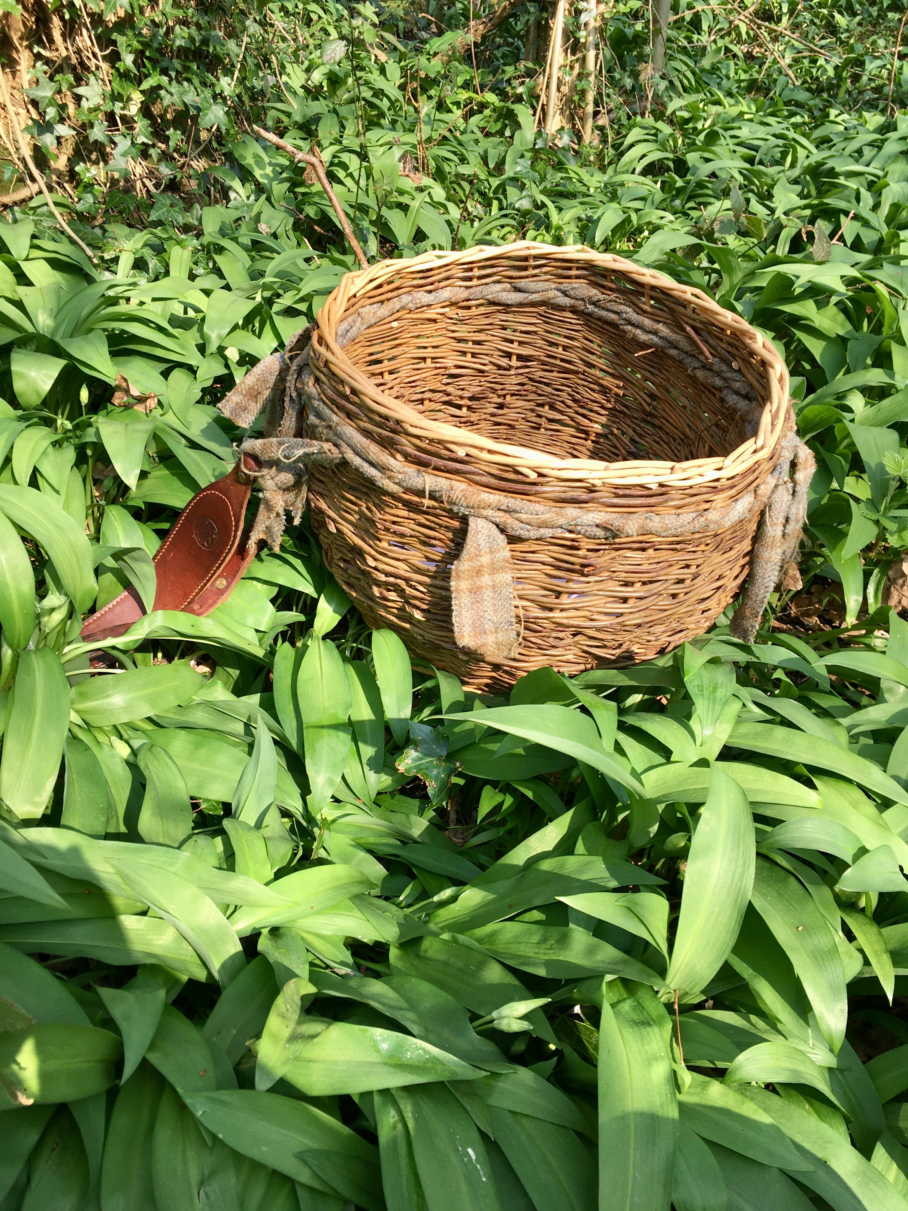 Half Day Foraging Course Saturday 18th April 2026 10am - 1pm