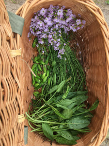Full Day Foraging Course Saturday 9th May 2026