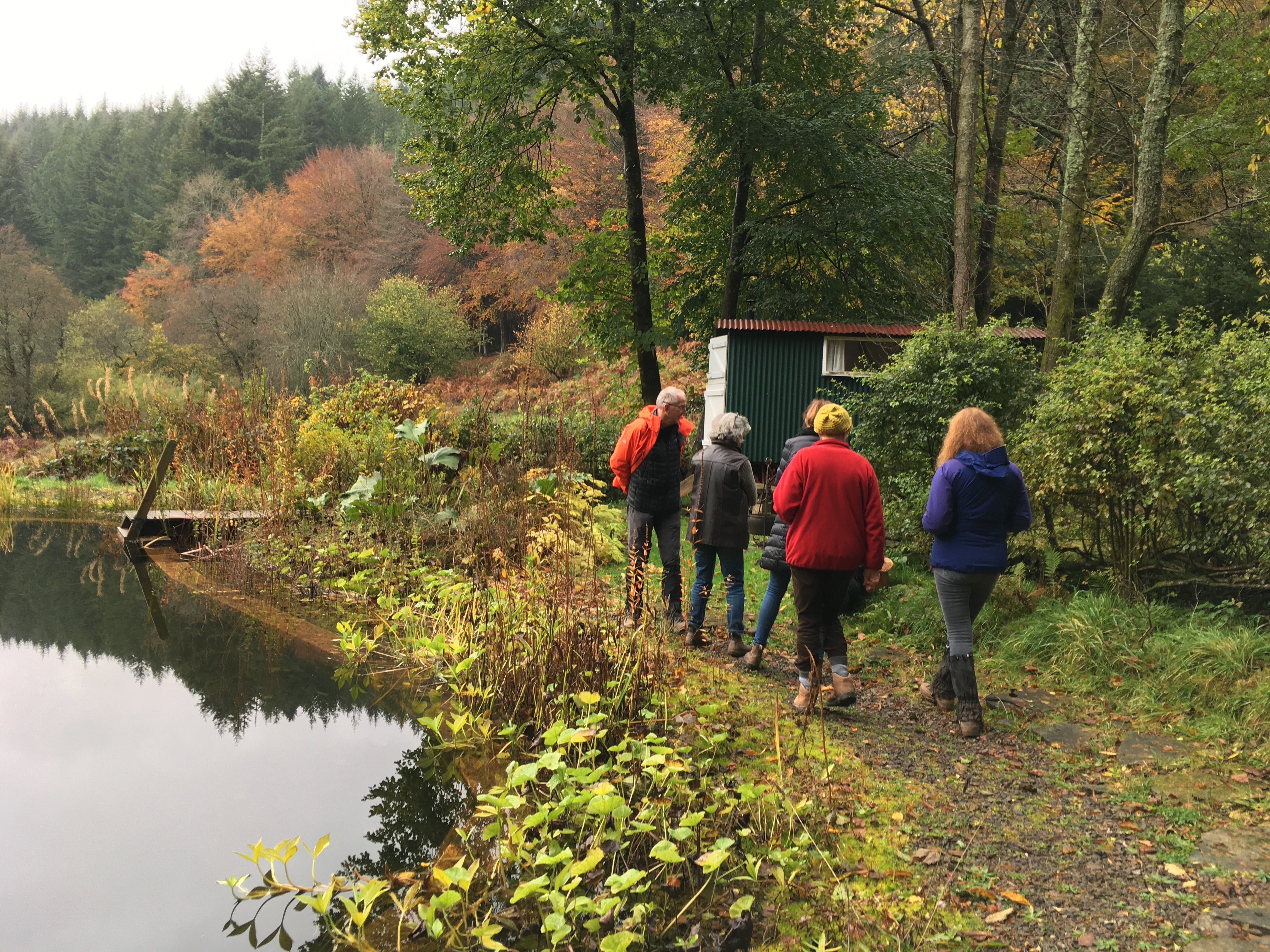 Half Day Foraging Course Wednesday 16th September 2026