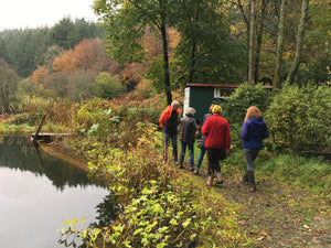 Half Day Foraging Course Wednesday 16th September 2026