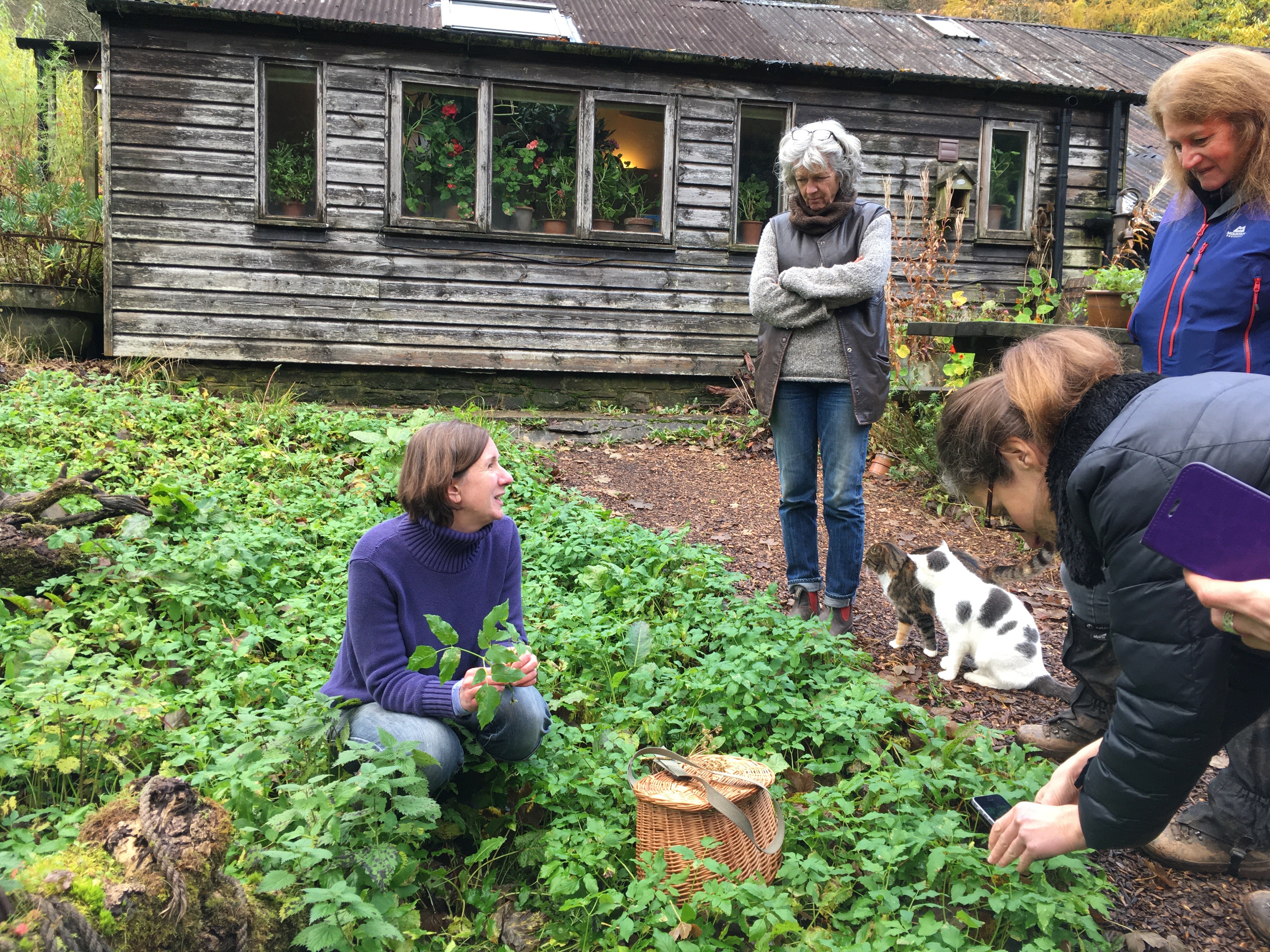 Half Day Foraging Course Wednesday 16th September 2026