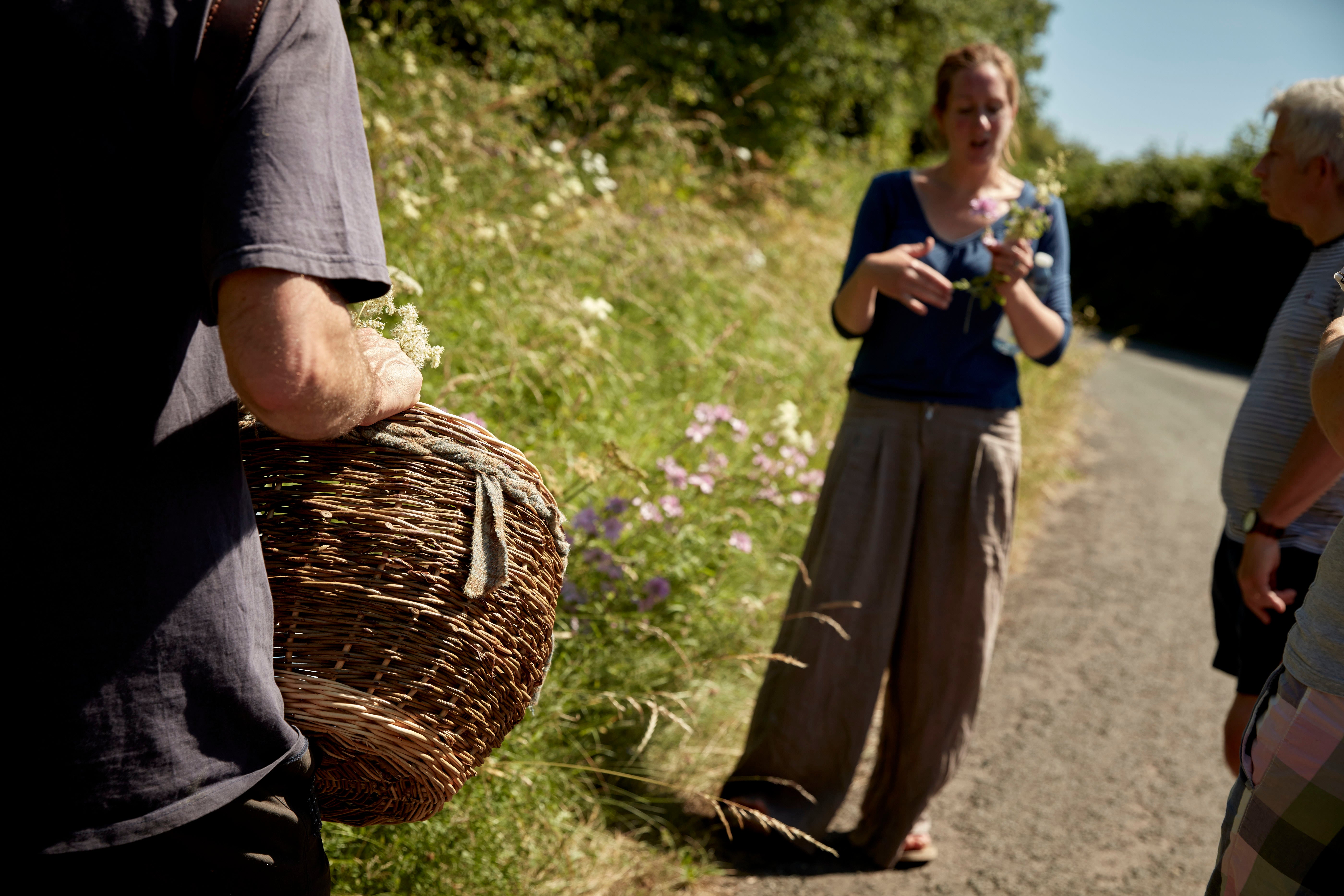 Half Day Foraging Course, Saturday 1st August 10am - 1pm